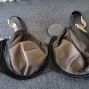 Modern movements bra